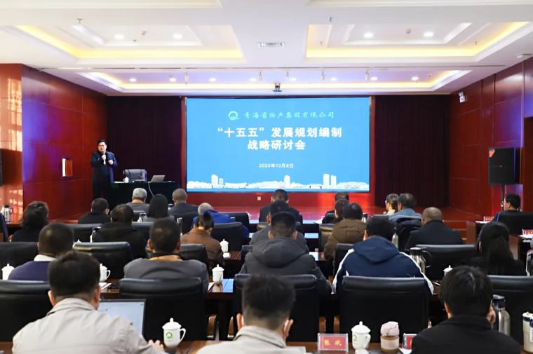 聚勢謀遠 破局立新——集團召開“十五五”發展規劃編制戰略研討會